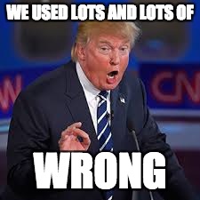 WE USED LOTS AND LOTS OF WRONG | image tagged in wrong donald | made w/ Imgflip meme maker