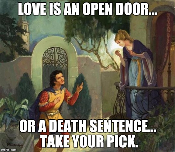 Romeo and Juliet Balcony Scene  | LOVE IS AN OPEN DOOR... OR A DEATH SENTENCE... TAKE YOUR PICK. | image tagged in romeo and juliet balcony scene | made w/ Imgflip meme maker