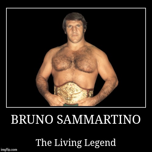 Bruno Sammartino | image tagged in wwe | made w/ Imgflip demotivational maker