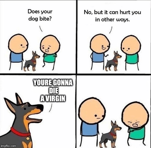 does your dog bite | YOURE GONNA DIE A VIRGIN | image tagged in does your dog bite | made w/ Imgflip meme maker