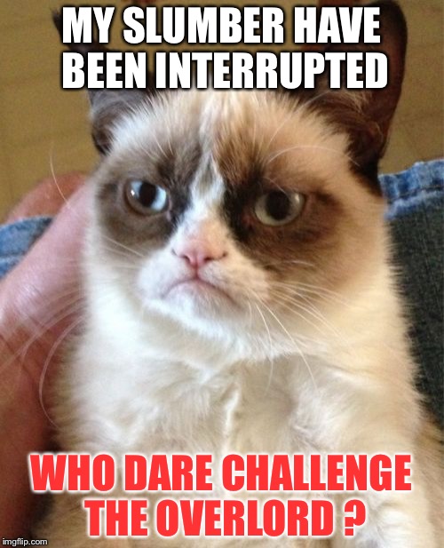 Grumpy Cat Meme | MY SLUMBER HAVE BEEN INTERRUPTED; WHO DARE CHALLENGE THE OVERLORD ? | image tagged in memes,grumpy cat | made w/ Imgflip meme maker