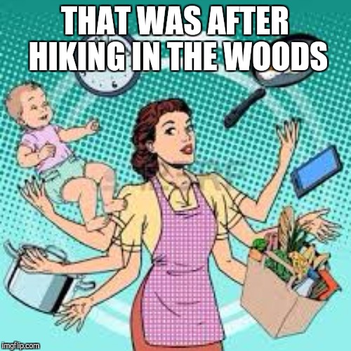 THAT WAS AFTER HIKING IN THE WOODS | made w/ Imgflip meme maker