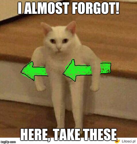 Buff Half Cat | I ALMOST FORGOT! HERE, TAKE THESE | image tagged in buff half cat | made w/ Imgflip meme maker
