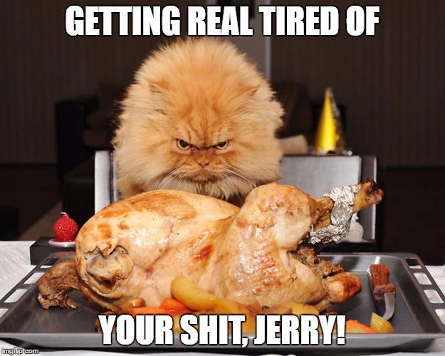 GETTING REAL TIRED OF; YOUR SHIT, JERRY! | image tagged in memes in real life | made w/ Imgflip meme maker