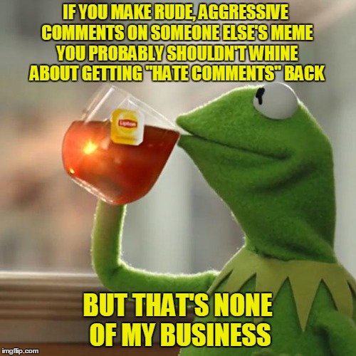 But That's None Of My Business Meme | IF YOU MAKE RUDE, AGGRESSIVE COMMENTS ON SOMEONE ELSE'S MEME YOU PROBABLY SHOULDN'T WHINE ABOUT GETTING "HATE COMMENTS" BACK BUT THAT'S NONE | image tagged in memes,but thats none of my business,kermit the frog | made w/ Imgflip meme maker