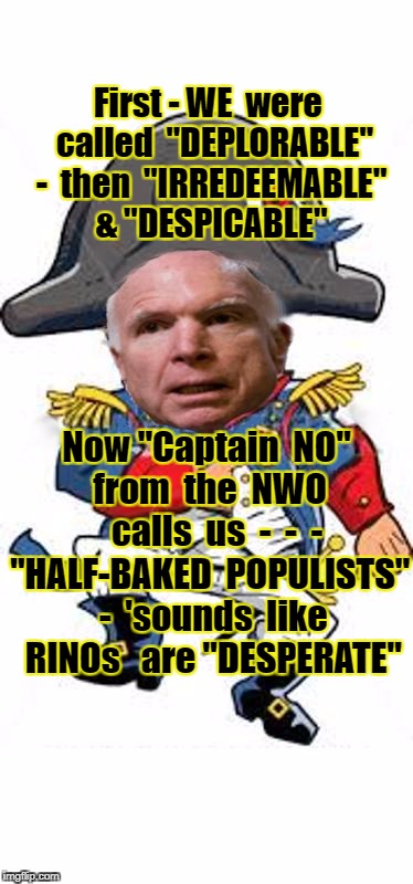 Mccain zero | First - WE  were  called  "DEPLORABLE" -  then  "IRREDEEMABLE" & "DESPICABLE"; Now "Captain  NO"  from  the  NWO    calls  us  -  -  - "HALF-BAKED  POPULISTS"  -  'sounds  like  RINOs   are "DESPERATE" | image tagged in mccain zero | made w/ Imgflip meme maker