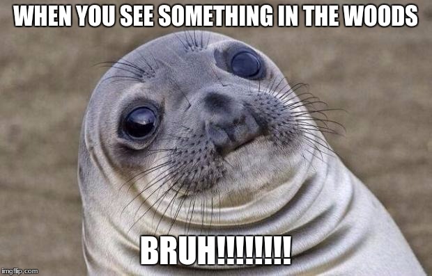 Awkward Moment Sealion | WHEN YOU SEE SOMETHING IN THE WOODS; BRUH!!!!!!!! | image tagged in memes,awkward moment sealion | made w/ Imgflip meme maker