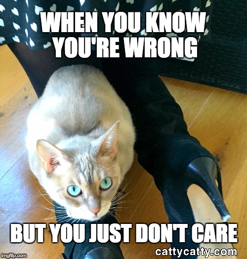 What's wrong with being unreasonable? | WHEN YOU KNOW YOU'RE WRONG; BUT YOU JUST DON'T CARE | image tagged in unreasonable meme,awkward meme,cat meme,that moment when,funny cat pics,funny cat memes | made w/ Imgflip meme maker