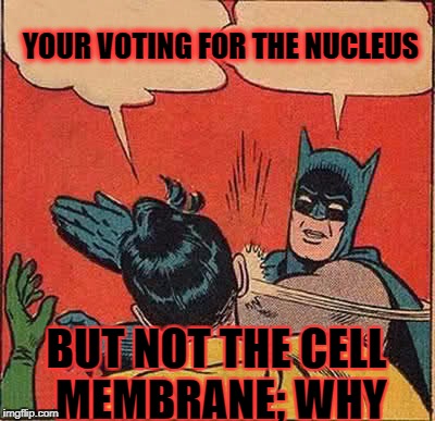 Batman Slapping Robin Meme | YOUR VOTING FOR THE NUCLEUS; BUT NOT THE CELL MEMBRANE; WHY | image tagged in memes,batman slapping robin | made w/ Imgflip meme maker
