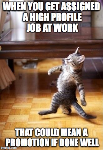 Cool Cat Stroll Meme | WHEN YOU GET ASSIGNED A HIGH PROFILE JOB AT WORK; THAT COULD MEAN A PROMOTION IF DONE WELL | image tagged in memes,cool cat stroll | made w/ Imgflip meme maker