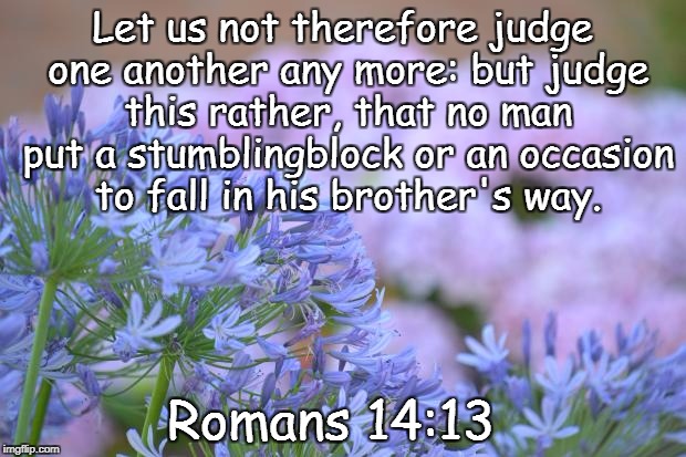 FLOWERS | Let us not therefore judge one another any more: but judge this rather, that no man put a stumblingblock or an occasion to fall in his brother's way. Romans 14:13 | image tagged in flowers | made w/ Imgflip meme maker