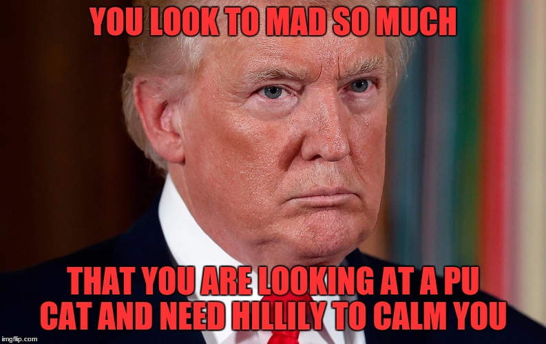 YOU LOOK TO MAD SO MUCH; THAT YOU ARE LOOKING AT A PU CAT AND NEED HILLILY TO CALM YOU | image tagged in donald trump | made w/ Imgflip meme maker