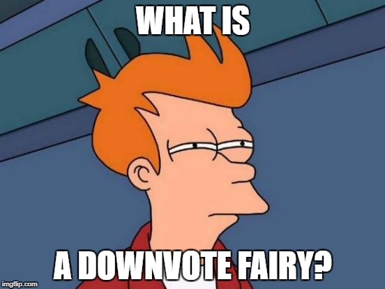 Futurama Fry Meme | WHAT IS; A DOWNVOTE FAIRY? | image tagged in memes,futurama fry | made w/ Imgflip meme maker