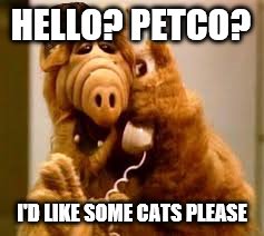alf | HELLO? PETCO? I'D LIKE SOME CATS PLEASE | image tagged in alf,scumbag | made w/ Imgflip meme maker