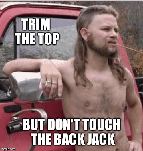 TRIM THE TOP BUT DON'T TOUCH THE BACK JACK | made w/ Imgflip meme maker