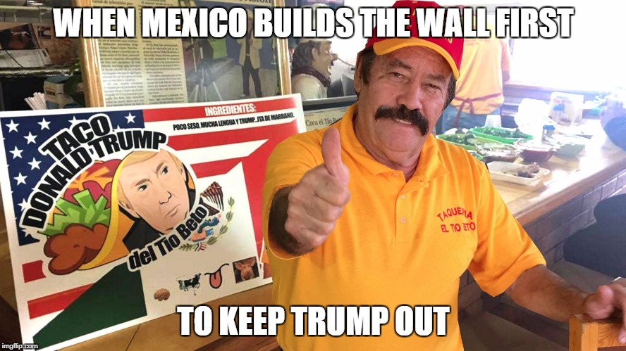 WHEN MEXICO BUILDS THE WALL FIRST; TO KEEP TRUMP OUT | image tagged in fox | made w/ Imgflip meme maker