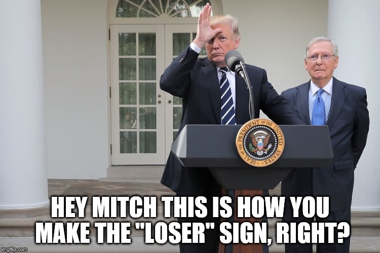 trump loser sign | HEY MITCH THIS IS HOW YOU MAKE THE "LOSER" SIGN, RIGHT? | image tagged in trump,loser,mcconnell,press conference | made w/ Imgflip meme maker