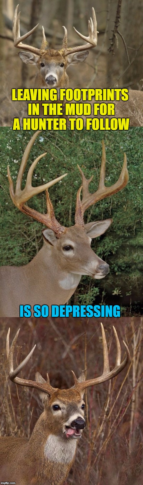 Depressing Meme Week Oct 11-18 A NeverSayMemes Event | LEAVING FOOTPRINTS IN THE MUD FOR A HUNTER TO FOLLOW; IS SO DEPRESSING | image tagged in bad pun buck,depressing meme week,memes,footprints,deer,neversaymemes | made w/ Imgflip meme maker