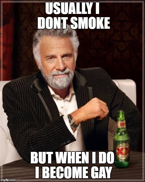 The Most Interesting Man In The World Meme | USUALLY I DONT SMOKE BUT WHEN I DO I BECOME GAY | image tagged in memes,the most interesting man in the world | made w/ Imgflip meme maker