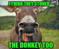 I THINK THEY STONED THE DONKEY TOO | made w/ Imgflip meme maker