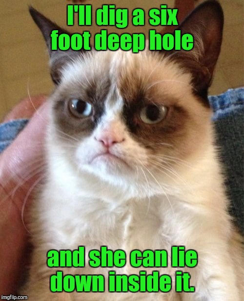 Grumpy Cat Meme | I'll dig a six foot deep hole and she can lie down inside it. | image tagged in memes,grumpy cat | made w/ Imgflip meme maker