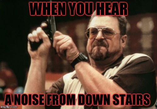Am I The Only One Around Here Meme | WHEN YOU HEAR; A NOISE FROM DOWN STAIRS | image tagged in memes,am i the only one around here | made w/ Imgflip meme maker