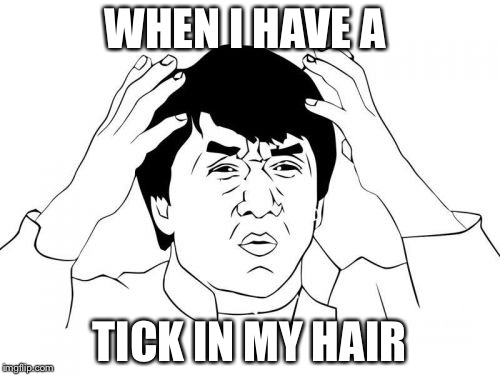 Jackie Chan WTF Meme | WHEN I HAVE A; TICK IN MY HAIR | image tagged in memes,jackie chan wtf | made w/ Imgflip meme maker