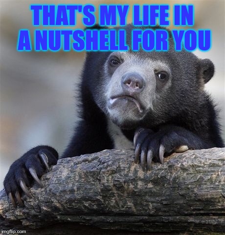 Confession Bear Meme | THAT'S MY LIFE IN A NUTSHELL FOR YOU | image tagged in memes,confession bear | made w/ Imgflip meme maker