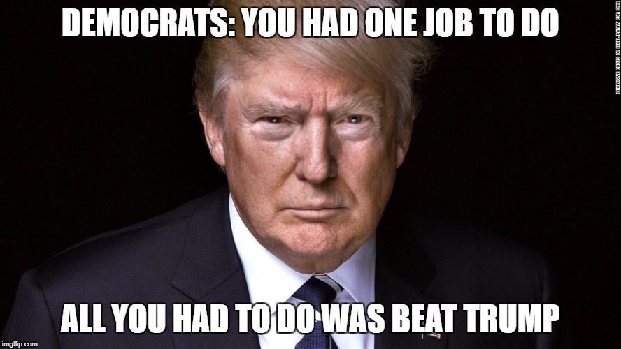 DEMOCRATS: YOU HAD ONE JOB TO DO; ALL YOU HAD TO DO WAS BEAT TRUMP | image tagged in trump-one-job | made w/ Imgflip meme maker