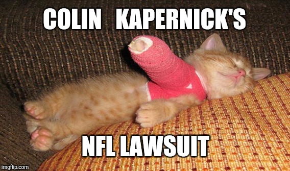 COLIN KAPERNICK'S NFL LAWSUIT | COLIN   KAPERNICK'S; NFL LAWSUIT | image tagged in funny,gifs,memes,sports,nfl,animals | made w/ Imgflip meme maker