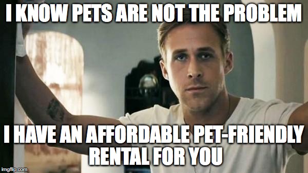hey girl | I KNOW PETS ARE NOT THE PROBLEM; I HAVE AN AFFORDABLE PET-FRIENDLY RENTAL FOR YOU | image tagged in hey girl | made w/ Imgflip meme maker