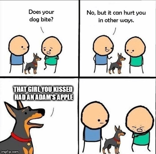 does your dog bite | THAT GIRL YOU KISSED HAD AN ADAM'S APPLE | image tagged in does your dog bite | made w/ Imgflip meme maker