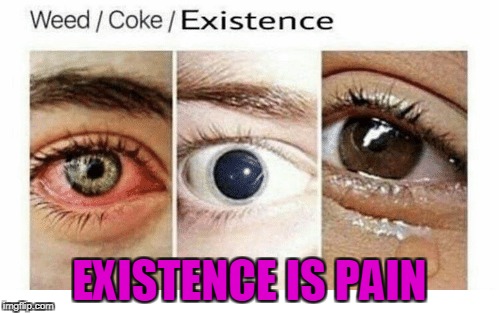 Truth. |  EXISTENCE IS PAIN | image tagged in memes,existence is pain,trhtimmy,depressing meme week | made w/ Imgflip meme maker
