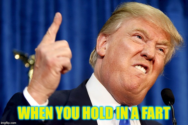 Donald Trump | WHEN YOU HOLD IN A FART | image tagged in donald trump | made w/ Imgflip meme maker