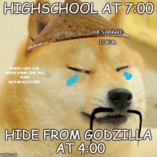 GODZILLA!!!! | HIGHSCHOOL AT 7:00; THE STRUGGLE IS REAL; WHEN THEY ASK WHEN YOUR FINE,BUT YOUR NOT REALLY FINE. HIDE FROM GODZILLA AT 4:00 | image tagged in doge,godzilla,asian | made w/ Imgflip meme maker