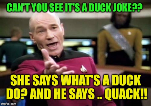 Picard Wtf Meme | CAN'T YOU SEE IT'S A DUCK JOKE?? SHE SAYS WHAT'S A DUCK DO? AND HE SAYS .. QUACK!! | image tagged in memes,picard wtf | made w/ Imgflip meme maker