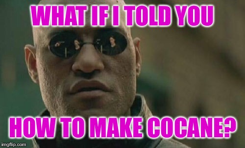 Matrix Morpheus Meme | WHAT IF I TOLD YOU HOW TO MAKE COCANE? | image tagged in memes,matrix morpheus | made w/ Imgflip meme maker