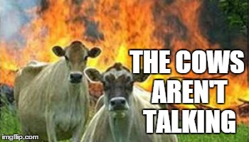 THE COWS AREN'T TALKING | made w/ Imgflip meme maker