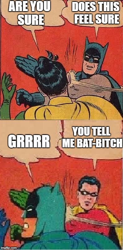 ARE YOU SURE DOES THIS FEEL SURE YOU TELL ME BAT-B**CH GRRRR | made w/ Imgflip meme maker