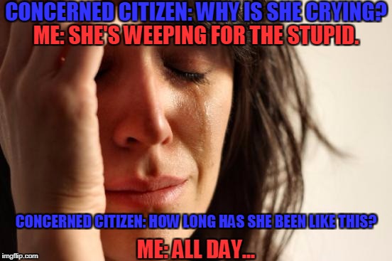 Don't weep for the stupid. | CONCERNED CITIZEN: WHY IS SHE CRYING? ME: SHE'S WEEPING FOR THE STUPID. CONCERNED CITIZEN: HOW LONG HAS SHE BEEN LIKE THIS? ME: ALL DAY... | image tagged in memes,first world problems,stupid,weep,crying,all day | made w/ Imgflip meme maker