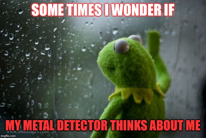 kermit window | SOME TIMES I WONDER IF; MY METAL DETECTOR THINKS ABOUT ME | image tagged in kermit window | made w/ Imgflip meme maker