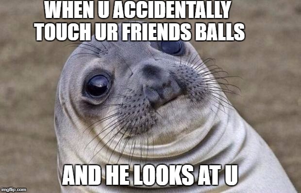 Awkward Moment Sealion Meme | WHEN U ACCIDENTALLY TOUCH UR FRIENDS BALLS; AND HE LOOKS AT U | image tagged in memes,awkward moment sealion | made w/ Imgflip meme maker