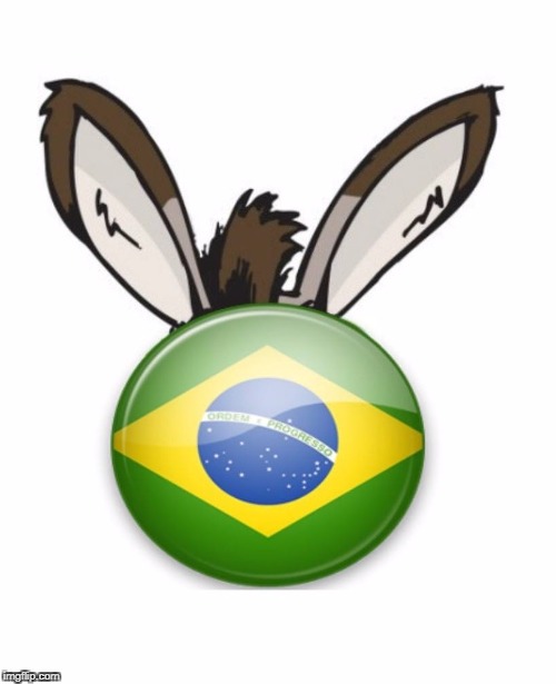 Brasil burro | image tagged in brasil burro,brazil,brazil donkey,brazil thief,brasil ladro,brasil | made w/ Imgflip meme maker
