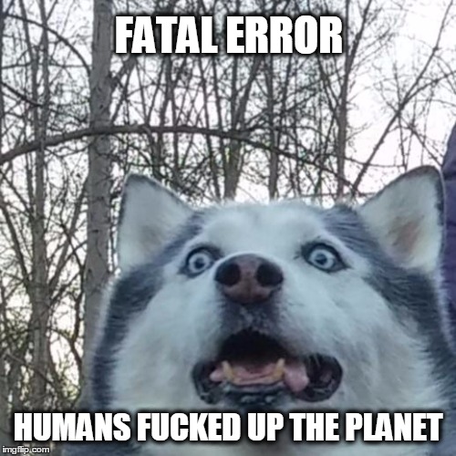 Crazy Husky is Crazy | FATAL ERROR; HUMANS FUCKED UP THE PLANET | image tagged in crazy husky is crazy | made w/ Imgflip meme maker