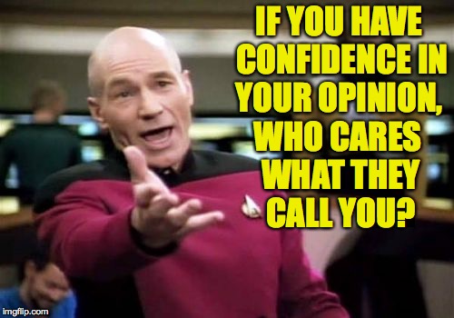 Picard Wtf Meme | IF YOU HAVE CONFIDENCE IN YOUR OPINION, WHO CARES WHAT THEY CALL YOU? | image tagged in memes,picard wtf | made w/ Imgflip meme maker