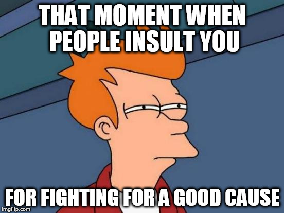Futurama Fry | THAT MOMENT WHEN PEOPLE INSULT YOU; FOR FIGHTING FOR A GOOD CAUSE | image tagged in memes,futurama fry,insult,insults,good cause,good causes | made w/ Imgflip meme maker