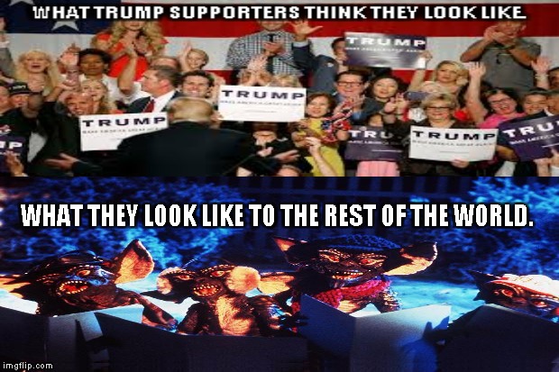Trump supporters | WHAT THEY LOOK LIKE TO THE REST OF THE WORLD. | image tagged in gremlins,trump supporters | made w/ Imgflip meme maker