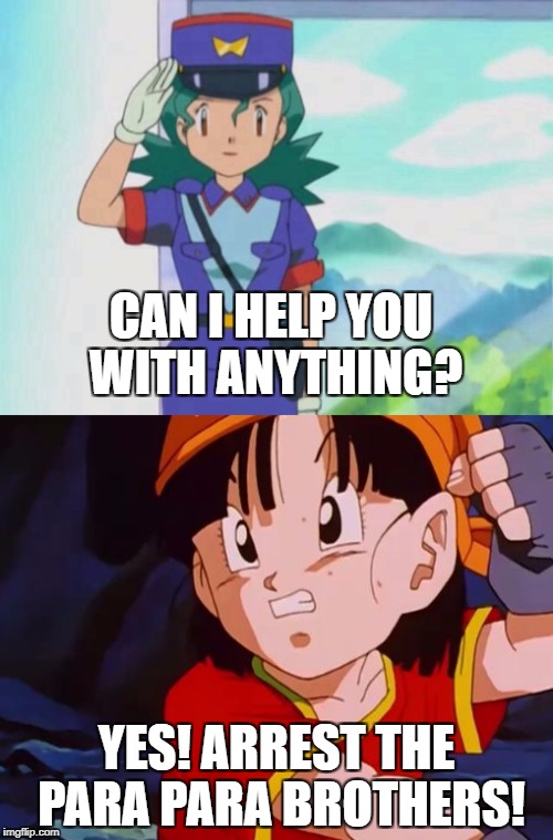 CAN I HELP YOU WITH ANYTHING? YES! ARREST THE PARA PARA BROTHERS! | image tagged in officer jenny,pan,dbgt | made w/ Imgflip meme maker