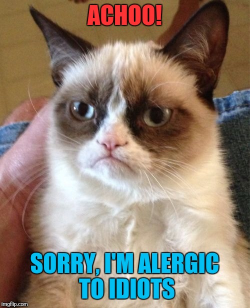 Grumpy Cat Meme | ACHOO! SORRY, I'M ALERGIC TO IDIOTS | image tagged in memes,grumpy cat | made w/ Imgflip meme maker