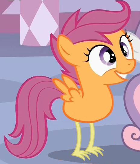 MLP scootaloo Blank Meme Template